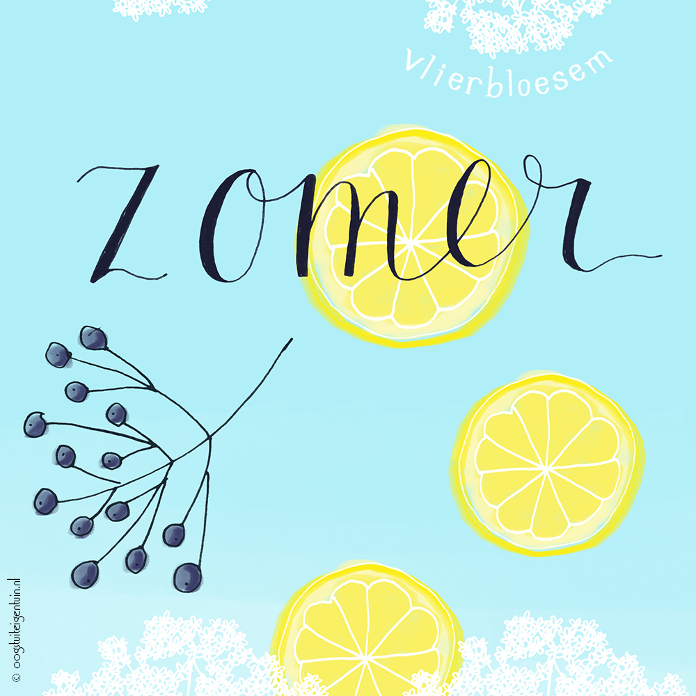 zomer download poster