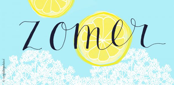 Oogst uit eigen tuin | Vier zomer met deze vlierbloesem zomer-poster