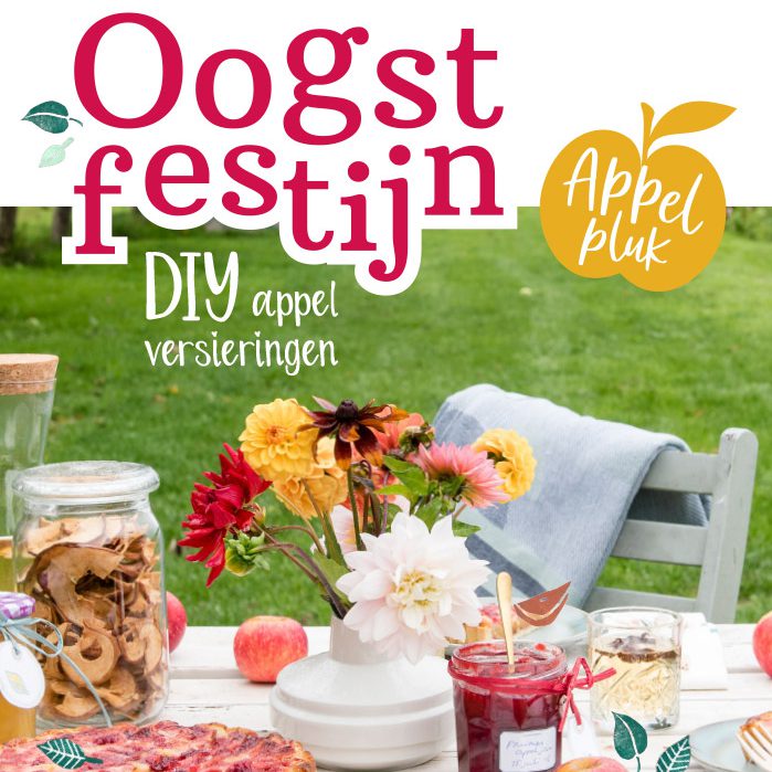 cover Oogstfestijn magazine